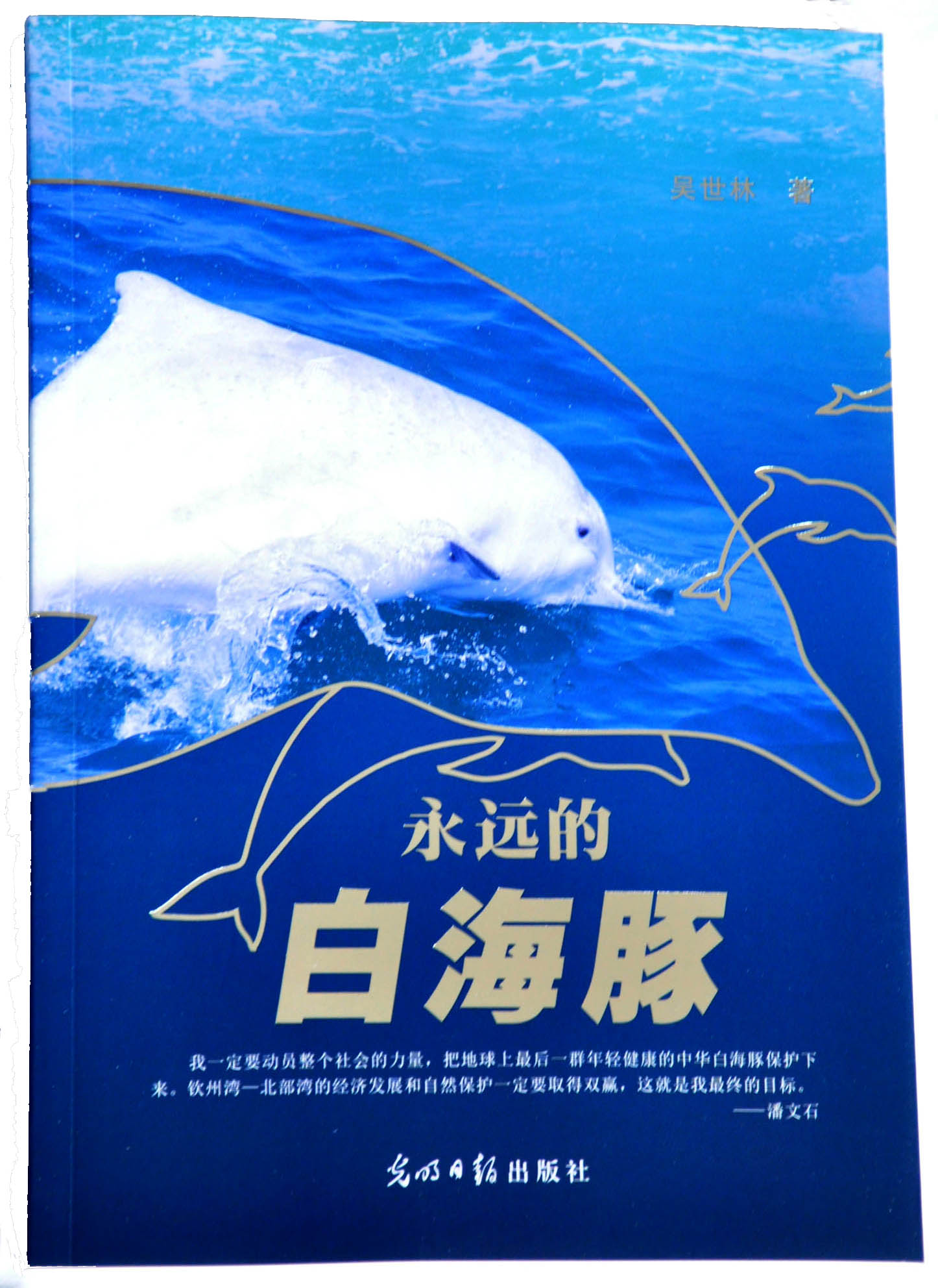 永遠(yuǎn)的白海豚1(?。?jpg